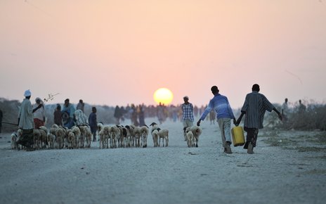 02_Introduction image_(Somalia)