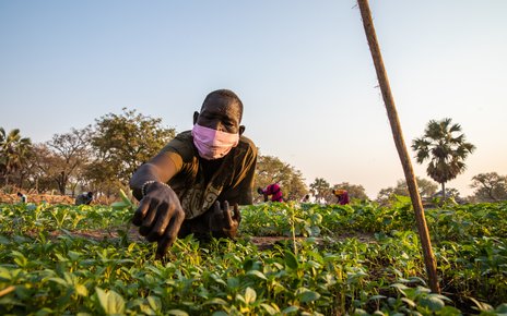 07_The Rumbek Centre is part of the FAO’s Emergency Livelihood Response Programme.jpg