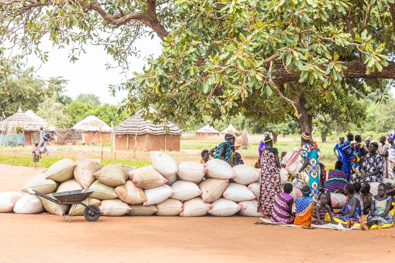 A seeds and tools distribution in Yirol East, South Sudan. Photo credit: Achuoth Deng