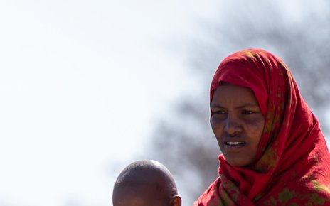 Ethiopia camels