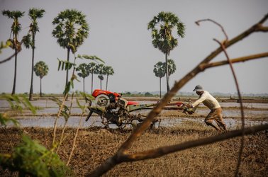 Feed the Future - Cambodia - 2013