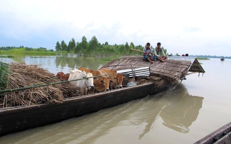 Programming approaches_Bangladesh.jpg