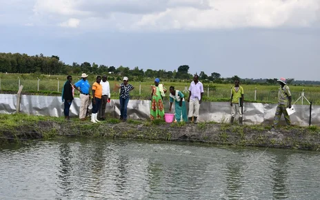 Wetlands Uganda