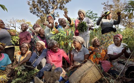 Women’s cooperative forming in the township of Yoko, Cameroon